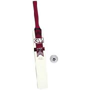 Michael Vaughan Purist Bat and Ball Set