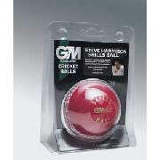 Steve Harmison Skills Ball