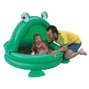 Inflatable Frog Shade Pool