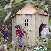 Commercial Jungle Hut